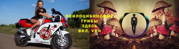 a pvp Майский