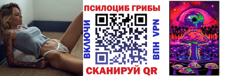 Галлюциногенные грибы ЛСД  купить закладку  Ядрин 